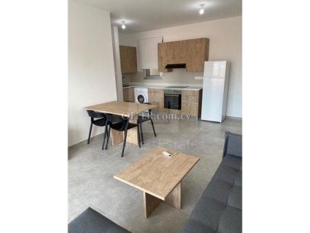 One Bedroom Fully Furnished Apartment for Rent in Engomi near the European University - 7