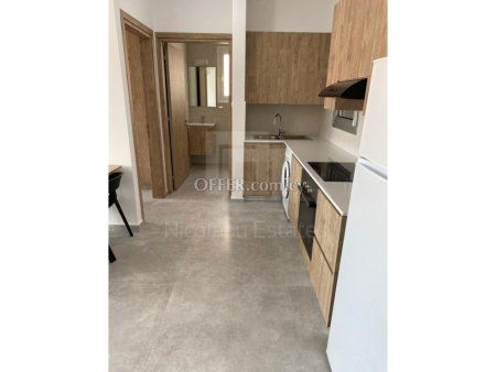One Bedroom Fully Furnished Apartment for Rent in Engomi near the European University - 6