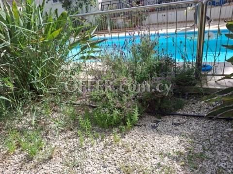 Detached villa resale with a private pool and garden, in East Limassol - Main Photo