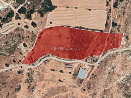 Agricultural Field for sale in Pachna, Limassol