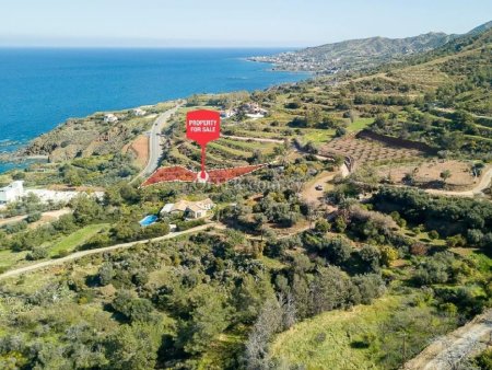 Field for sale in Pomos, Paphos