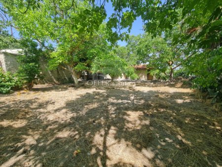 Six bedroom traditonal house for sale in Fyti village of Paphos - 2