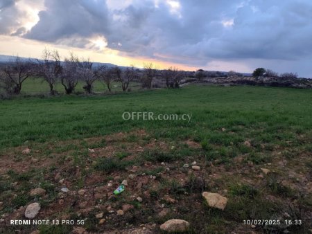 Agricultural Field for sale in Agios Tychon, Limassol