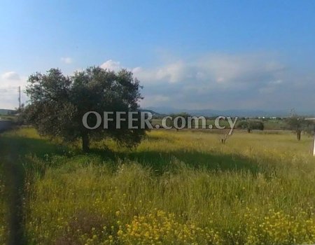 For Sale, Residential Land in Psimolofou