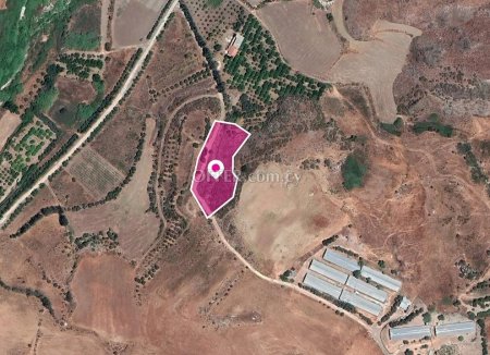 Residential field Agia Varvara