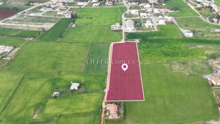 Field in Avgorou Ammochostos - 3