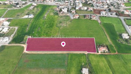 Field in Avgorou Ammochostos - 2