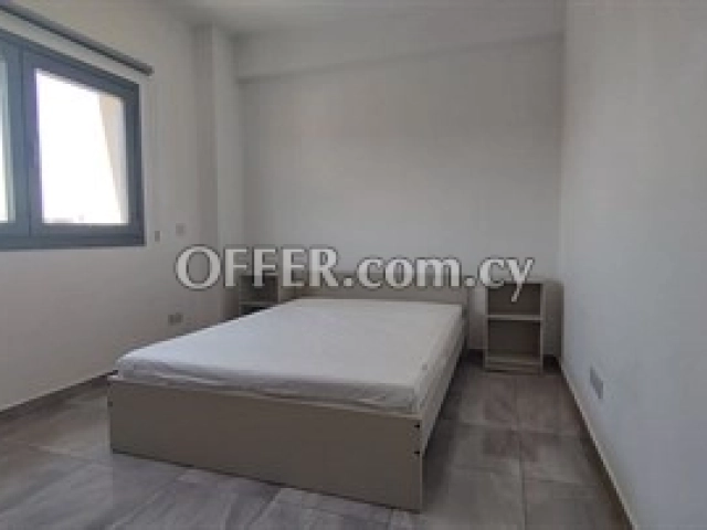 Cozy, Brand New & Fully Furnished 1 Bedroom Apartment  in a Walking Di