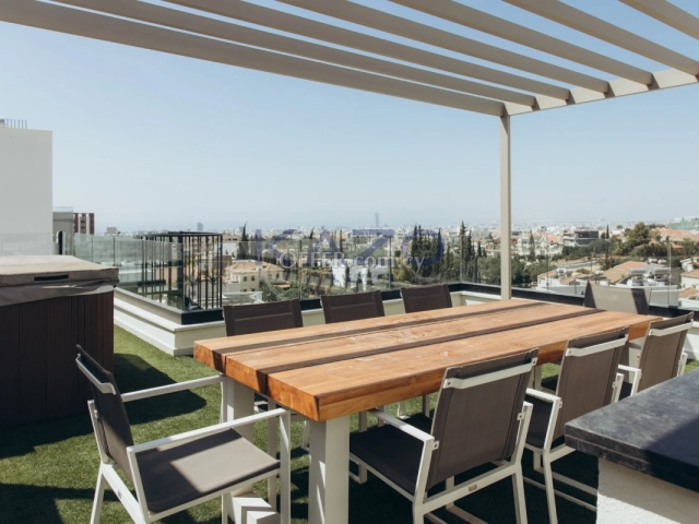Spacious Four Bedroom Penthouse in Leafy Panthea