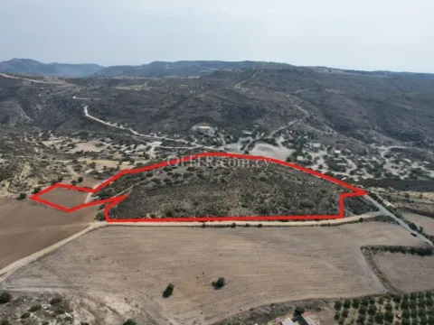 Agricultural field in Choirokoitia Larnaca