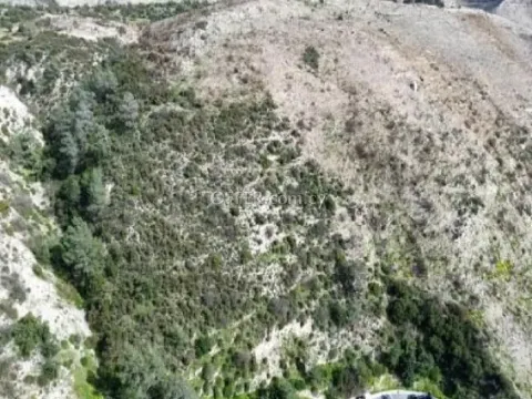Agricultural Field for sale in Gerasa, Limassol