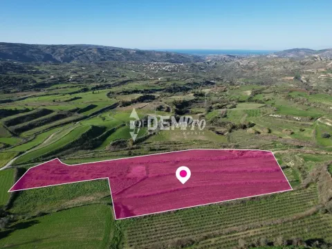 Agricultural Land For Sale in Stroumbi, Paphos - DP3236