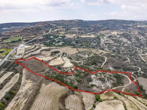 Agricultural field in Theletra Paphos - 4