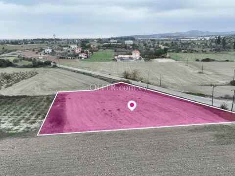 Residential field in Mazotos Larnaca - 10