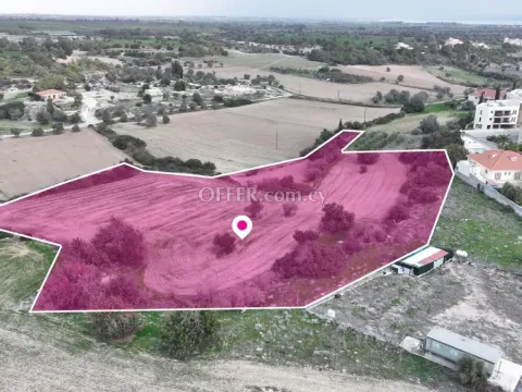 Residential field in Mazotos Larnaca - 7