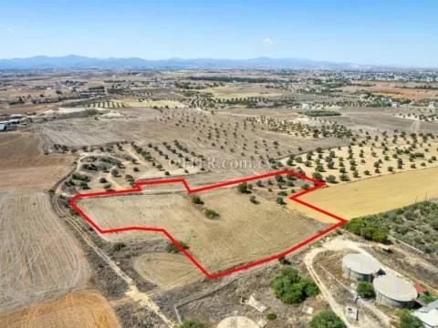 Shared residential field in Lakatamia Nicosia - 3