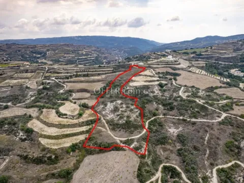Agricultural field in Theletra Paphos - 3