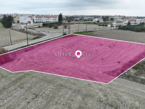 Residential field in Mazotos Larnaca - 7