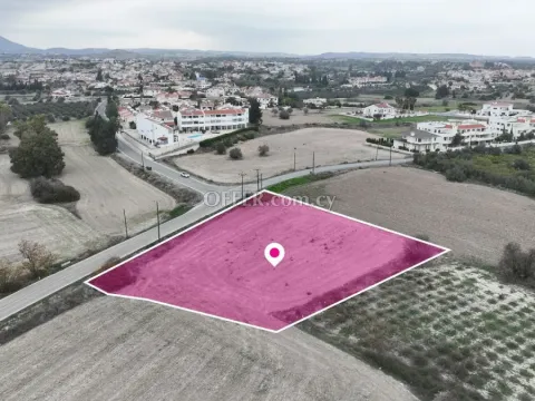 Residential field in Mazotos Larnaca - 6