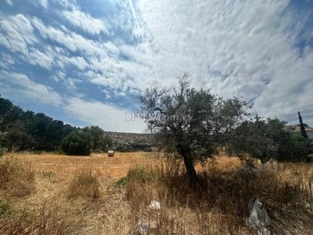 Agricultural Field for sale in Agios Tychon, Limassol