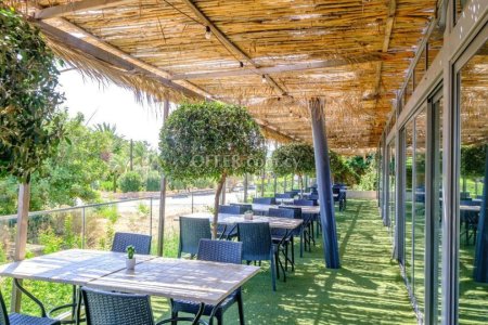 Studio apartment in Latchi Paphos - 8