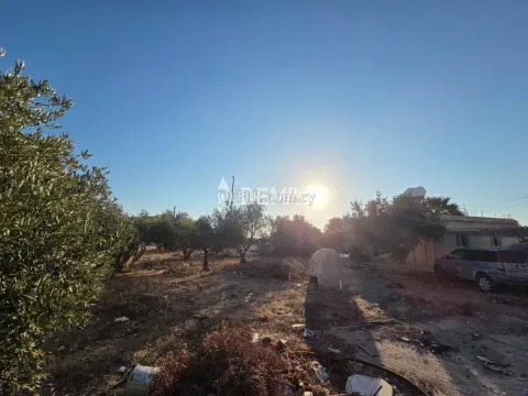 Bungalow For Sale in Chloraka, Paphos - DP5023 - Main Photo