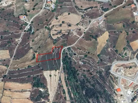 Field for sale in Pachna, Limassol - Main Photo