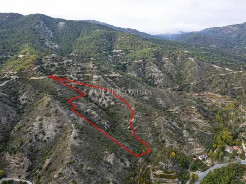 Agricultural field in Pelendri Limassol - 4