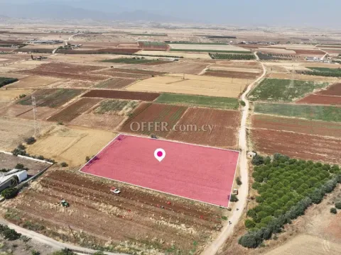 Residential field in Peristerona Nicosia - 4