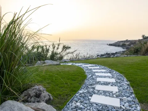 6 bed house for sale in Chloraka Pafos - 10