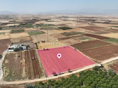 Residential field in Peristerona Nicosia - 3