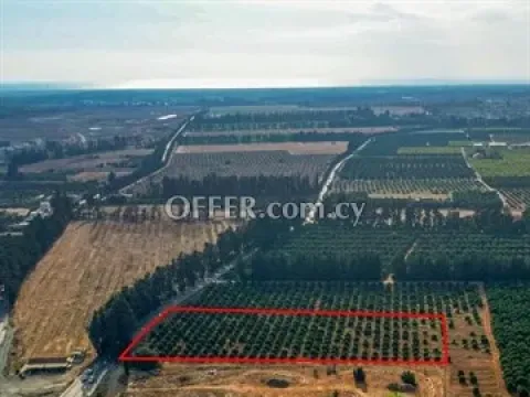 Industrial land under division in Kato Polemidia, Limassol - Main Photo