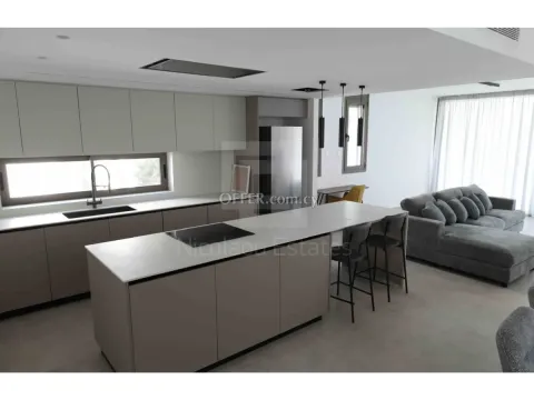 Ultra Luxury three bedroom apartment in Agios Andreas Nicosia - 10