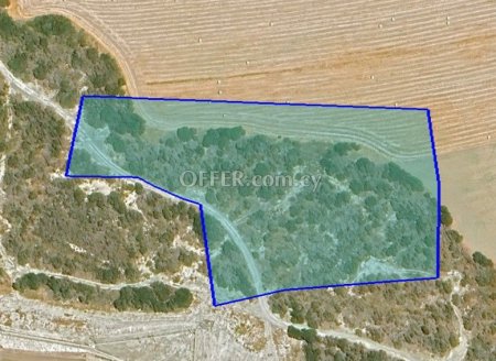 (Agricultural) in Pyrgos, Limassol for Sale