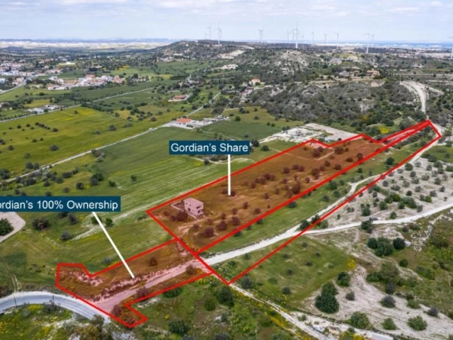 Fields in Alethriko Larnaca