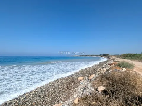 Land Parcel 10703 sm in Kouklia, Paphos - 2