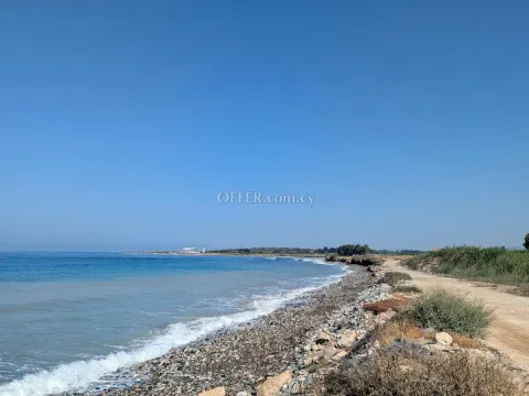 Land Parcel 10703 sm in Kouklia, Paphos - 12
