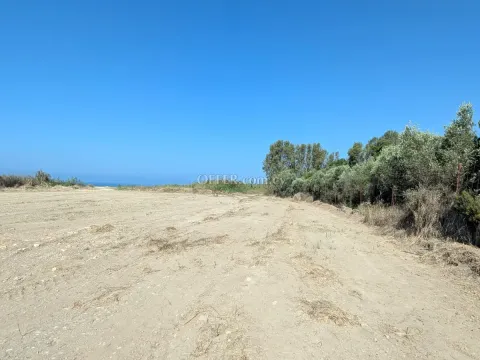 Land Parcel 10703 sm in Kouklia, Paphos - 10
