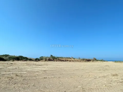 Land Parcel 10703 sm in Kouklia, Paphos - 8