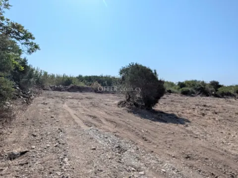 Land Parcel 10703 sm in Kouklia, Paphos - 7