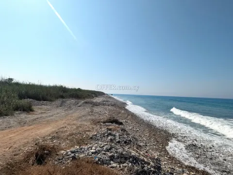 Land Parcel 10703 sm in Kouklia, Paphos - 6