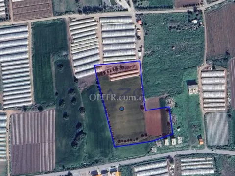 Large Maroni Field with Sea View For Sale - Main Photo