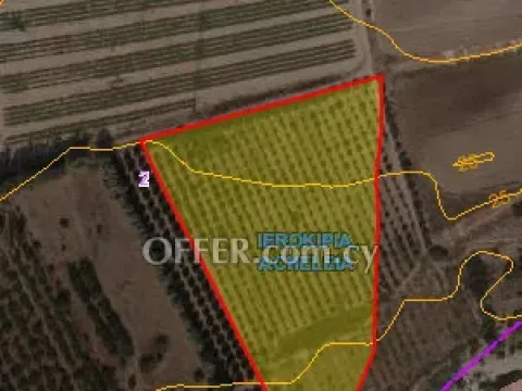 Agricultural Field for sale in Acheleia, Paphos - Main Photo
