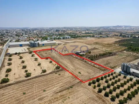 Residential field in Athienou, Larnaca - 5