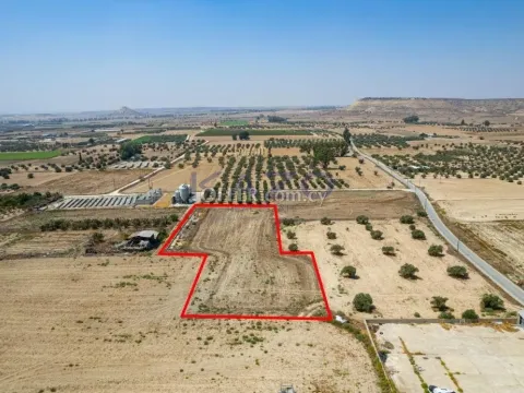 Residential field in Athienou, Larnaca - 4