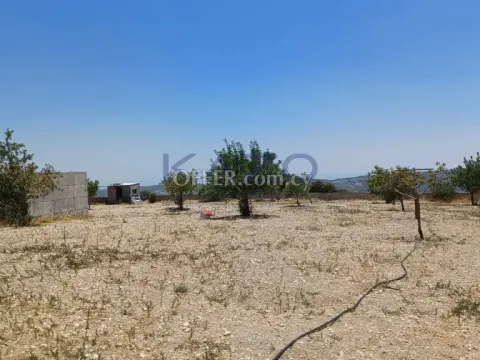 Spacious Furnished House in Peaceful Agios Therapon Village - 3