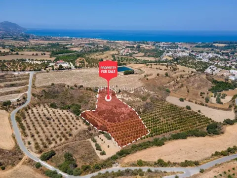 Agricultural Field for sale in Polis Chrysochous, Paphos - Main Photo