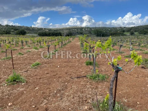 Agricultural land for Sale in Pachna, Limassol A peaceful Agricultural land just 30 minutes from Limassol city center. Property Highlights: • Total Area: 1,338 m² • Final Price: €1