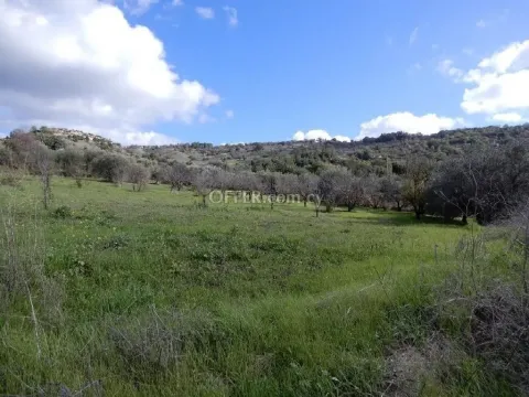 Agricultural Field for sale in Meladeia, Paphos - Main Photo