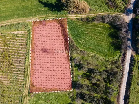 Residential Field for sale in Polemi, Paphos - Main Photo